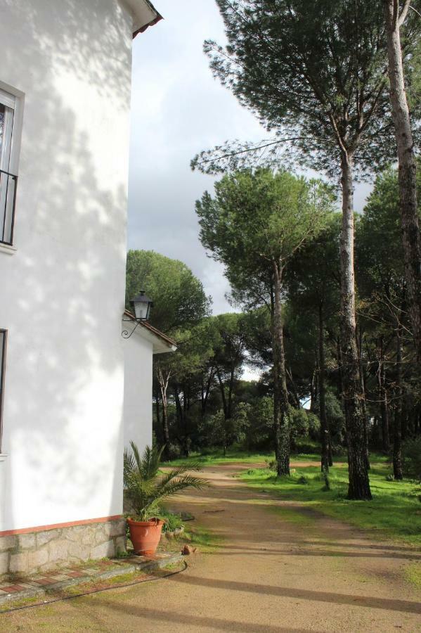 Vina Concepcion Villa Andújar Eksteriør billede