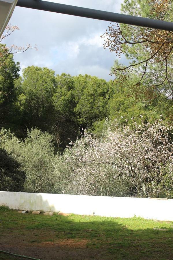 Vina Concepcion Villa Andújar Eksteriør billede