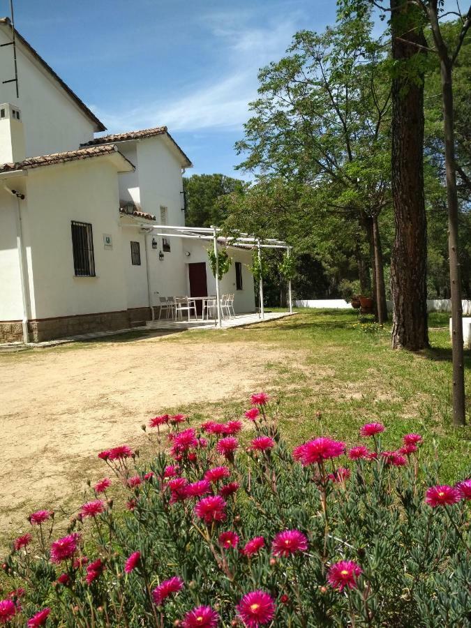 Vina Concepcion Villa Andújar Eksteriør billede